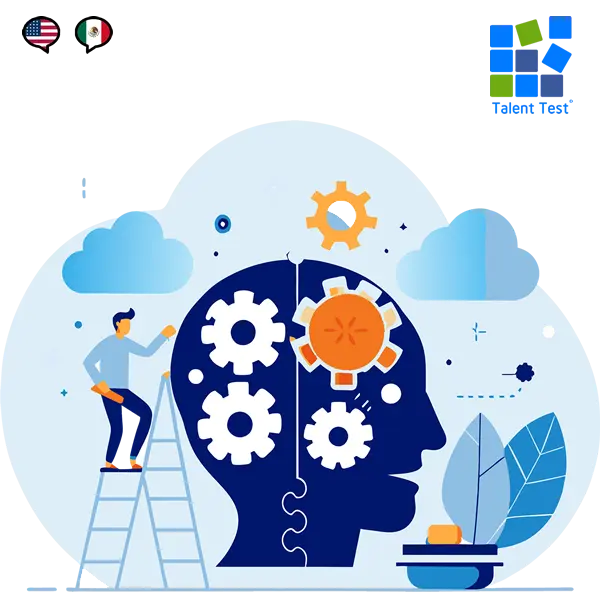 Talent Test: Informes personalizados y análisis de datos.