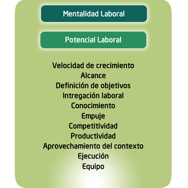 Agilidad y eficiencia en tus procesos.