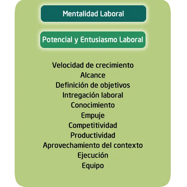 Esta prueba de mentalidad laboral nos sirve para medir el entusiasmo y potencial laboral de nuestro evaluado.